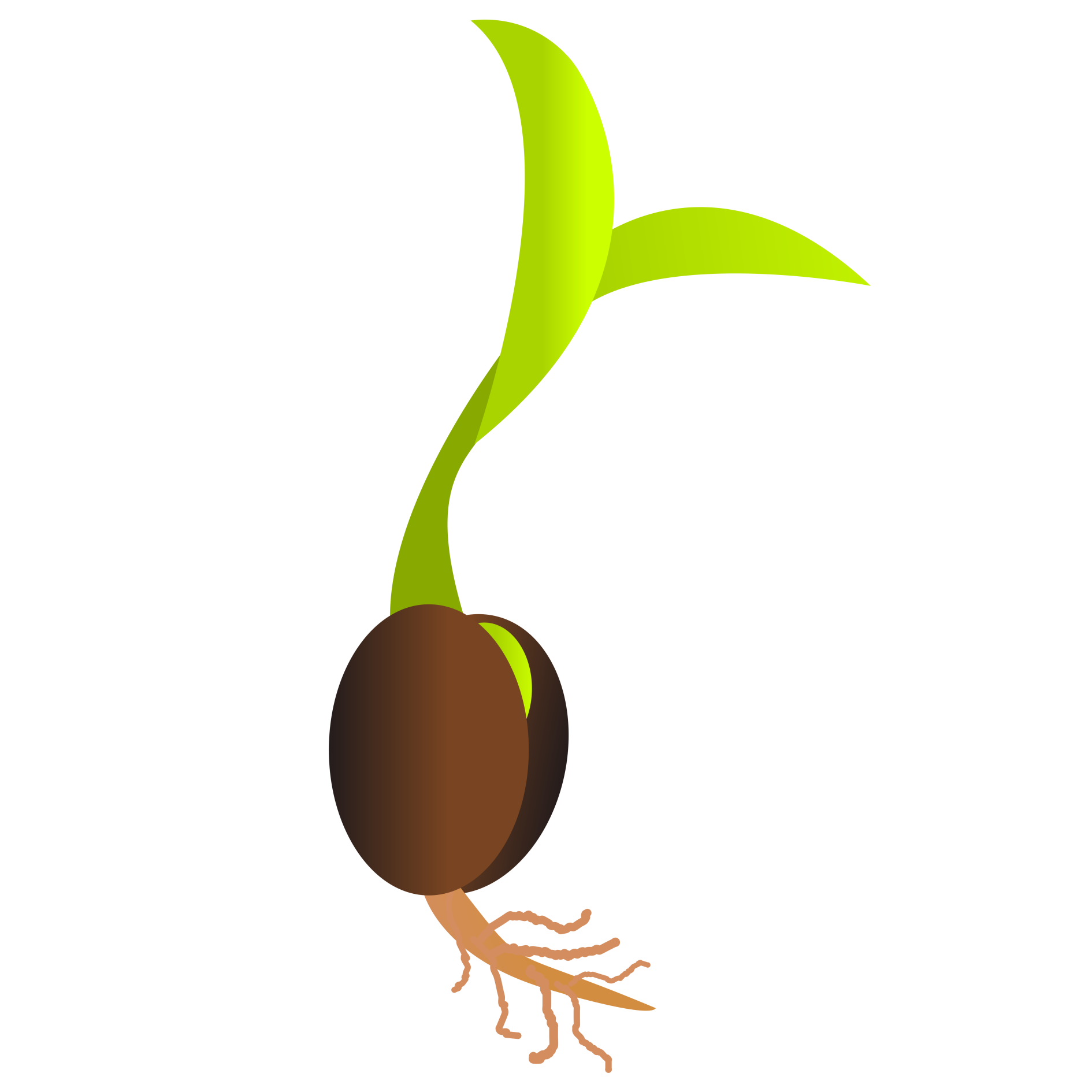 sprouting seed as propagation image